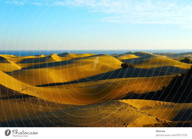 Dünen Natur Landschaft Urelemente Sand Luft Wasser Himmel Horizont Meer Wüste Spanien Gran Canaria Kanaren Stimmung Warmherzigkeit Romantik Gelassenheit ruhig