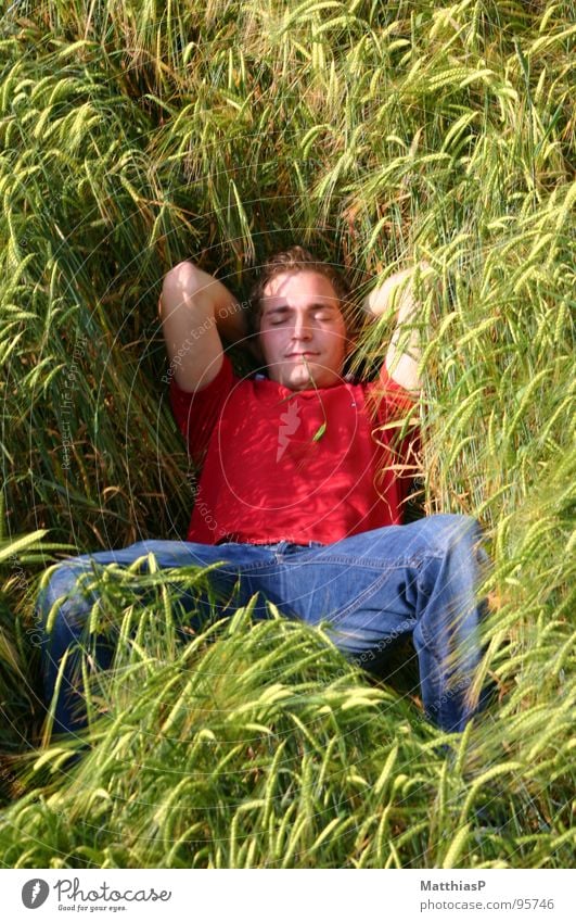 Schlafen im Gerstenfeld Feld Sommer Weizen Weizenfeld Mann Gute Laune schlafen Zufriedenheit ruhig Blume genießen Gras beweglich lässig Idylle live Oberpfalz