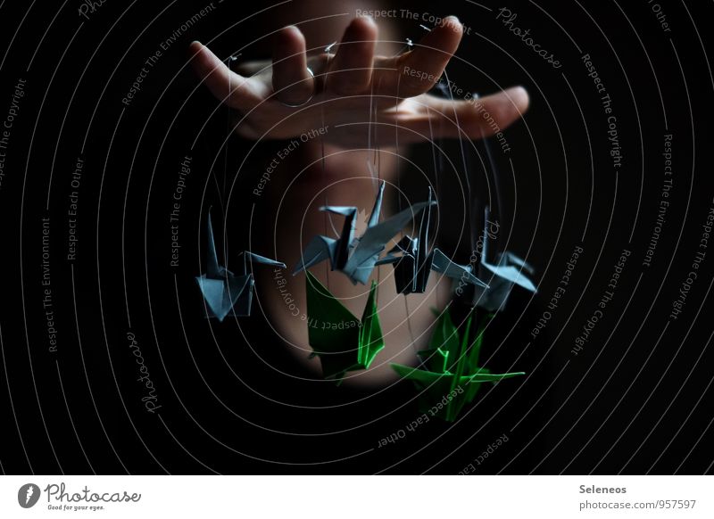 Alter Falter Erholung ruhig Freizeit & Hobby Basteln Origami klein Hand Finger Farbfoto Innenaufnahme Schatten Kontrast Schwache Tiefenschärfe