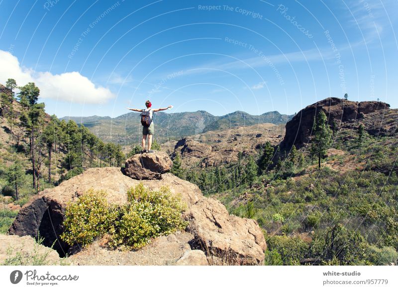 Ultimative Freiheit feminin 1 Mensch Natur Himmel Sommer Berge u. Gebirge wandern frei Unendlichkeit Glück Lebensfreude authentisch Erholung