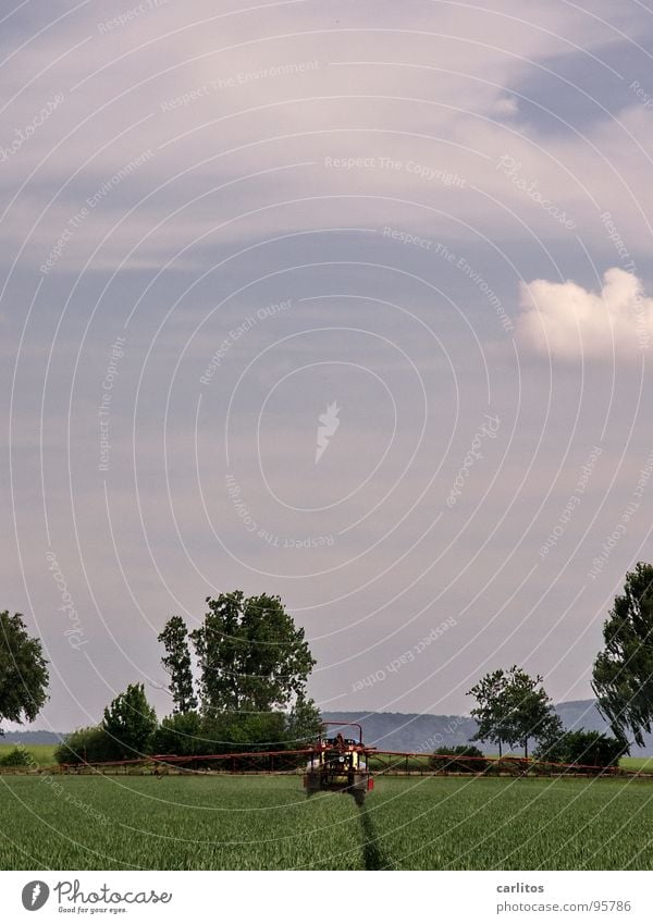 Grün lackiert Feld Ackerbau Aussaat keimen Hafer Roggen Weizen Gerste Spirituosen Frühling Schädlingsbekämpfung Pflanzenschutz sprühen Traktor Landwirtschaft