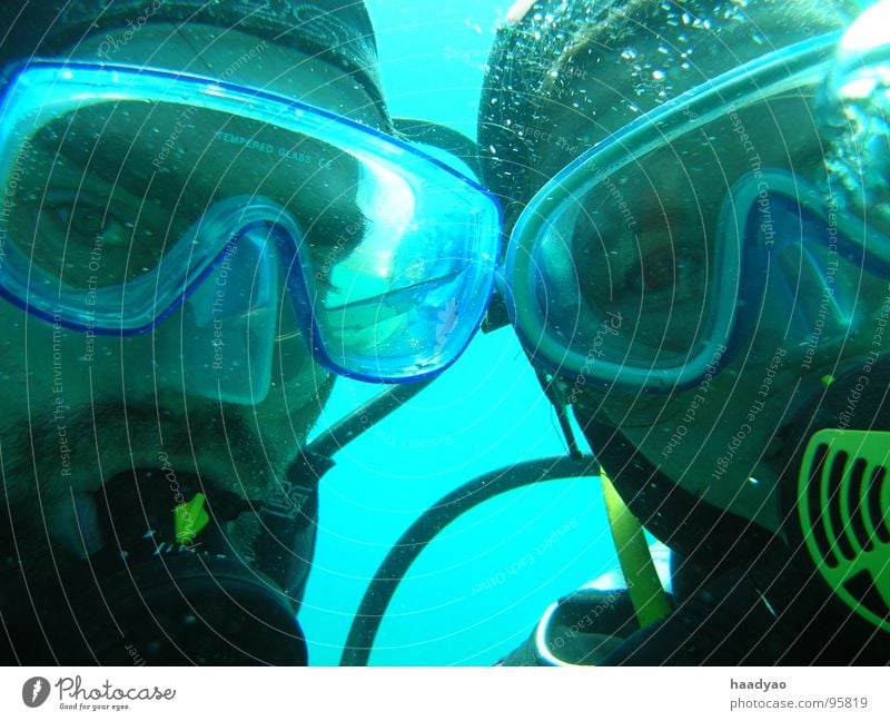 Untergetaucht Taucher Mann Frau Meer Atlantik Ferien & Urlaub & Reisen türkis Zusammensein Unterwasseraufnahme Freude Wassersport Klarheit Freiheit Erwachsene