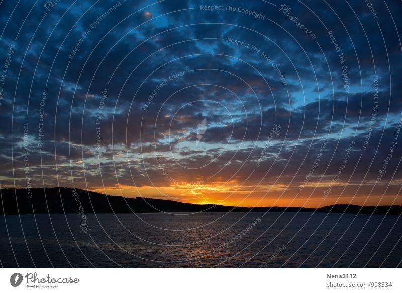 Untergang Umwelt Natur Landschaft Luft Wasser Himmel Wolken Gewitterwolken Nachthimmel Sonne Küste Seeufer Flussufer Strand bedrohlich dunkel fantastisch kalt