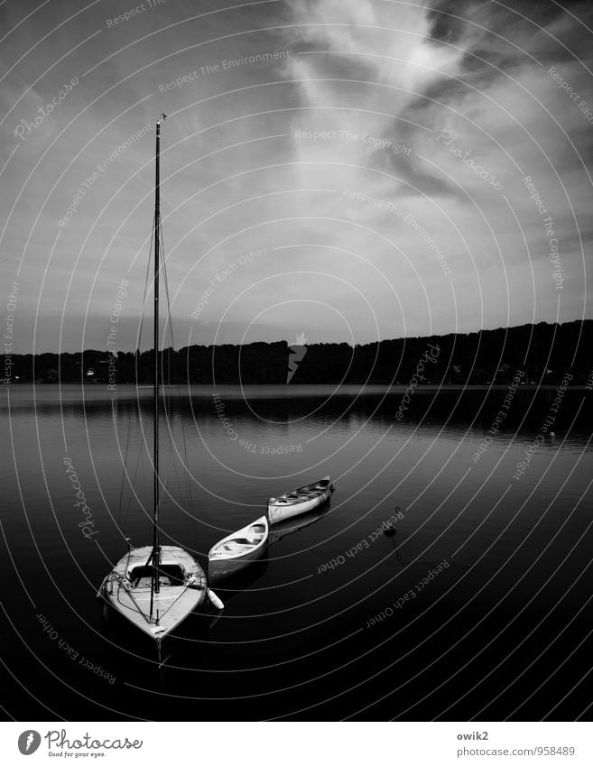 Schlafenszeit Umwelt Natur Landschaft Wasser Himmel Wolken Klima Wetter Schönes Wetter See Ratzeburger See Schifffahrt Segelboot Idylle Ruderboot dunkel Cirrus