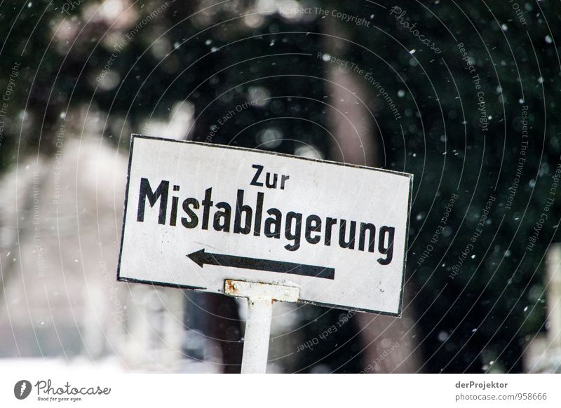 Da geht es lang Freizeit & Hobby Ausflug Sightseeing Städtereise Winterurlaub Umwelt schlechtes Wetter Schnee Schneefall Garten Park Stadtrand Sehenswürdigkeit