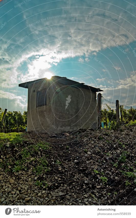 Hütte Umwelt Natur Landschaft Erde Sand Himmel Wolken Sonne Sonnenlicht Sommer Wetter Schönes Wetter Pflanze Gras Sträucher Feld Hügel Mauer Wand Dach Stein