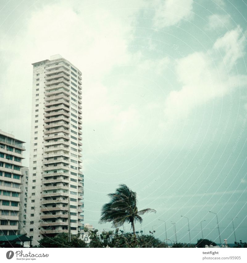 stormy weather Haus Unwetter Sturm Gebäude Hochhaus Stadt Baum Palme Kuba Havanna Himmel Wolken frei Erholung Sehnsucht Fernweh Heimweh Ferien & Urlaub & Reisen