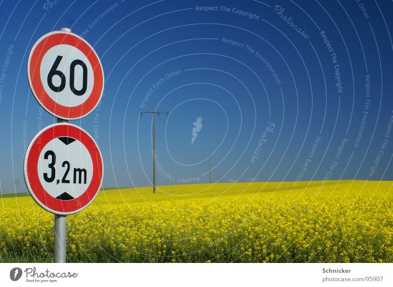 Raps - Idylle Feld Verkehr Straßennamenschild Elektrizität Strommast Wiese gelb 3 Verkehrsschild Sommer Frühling Himmel Limit Horizont Natur Landschaft