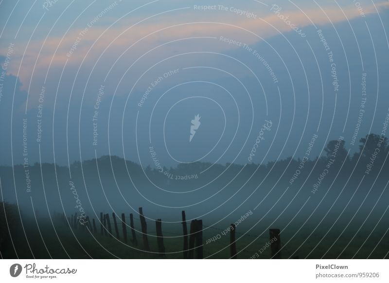 Nebel Stil Ferien & Urlaub & Reisen Freiheit wandern Landwirtschaft Forstwirtschaft Natur Landschaft Herbst Feld Moor Sumpf Dorf träumen blau grün Zufriedenheit