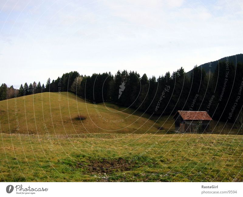 Allgäu grün Hügel Wiese Berge u. Gebirge Hütte