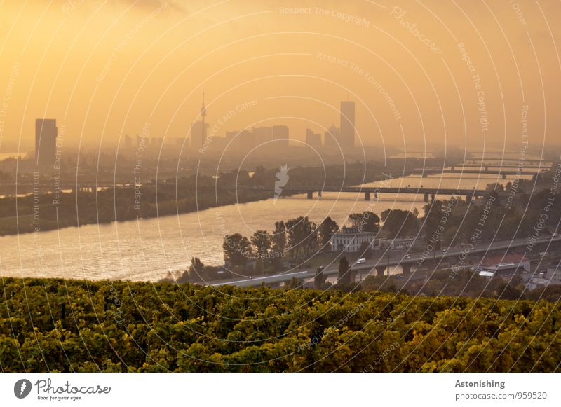 Morgen über Wien 2 Umwelt Natur Landschaft Pflanze Luft Himmel Wolken Sonnenaufgang Sonnenuntergang Sonnenlicht Herbst Wetter Schönes Wetter Sträucher Insel