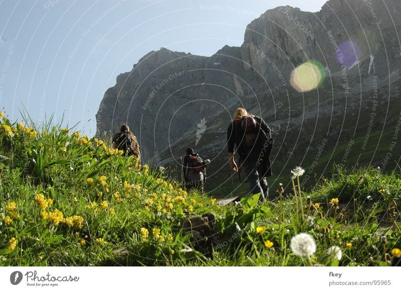 auf dem Weg nach oben steil hart Wiese grün saftig frisch Schweiz Europa wandern anstrengen Ferne Mann Mut aufstrebend Blume mehrfarbig gelb mehrere Morgen