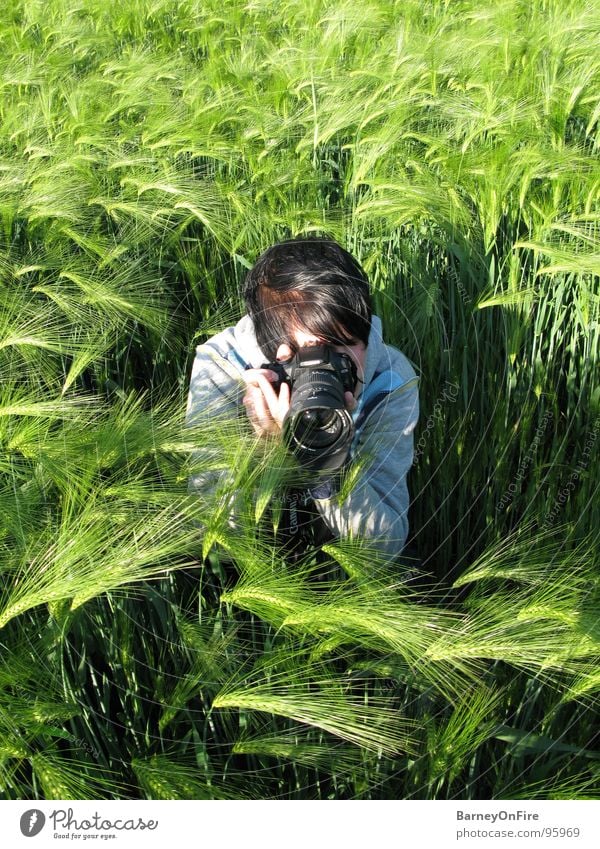 Fields of Green Mann Feld grün Gerste hocken Fotografieren Sommer Mensch Fotokamera Eos Fry2k Natur Agrarwissenschaften beobachten Haare & Frisuren sitzen