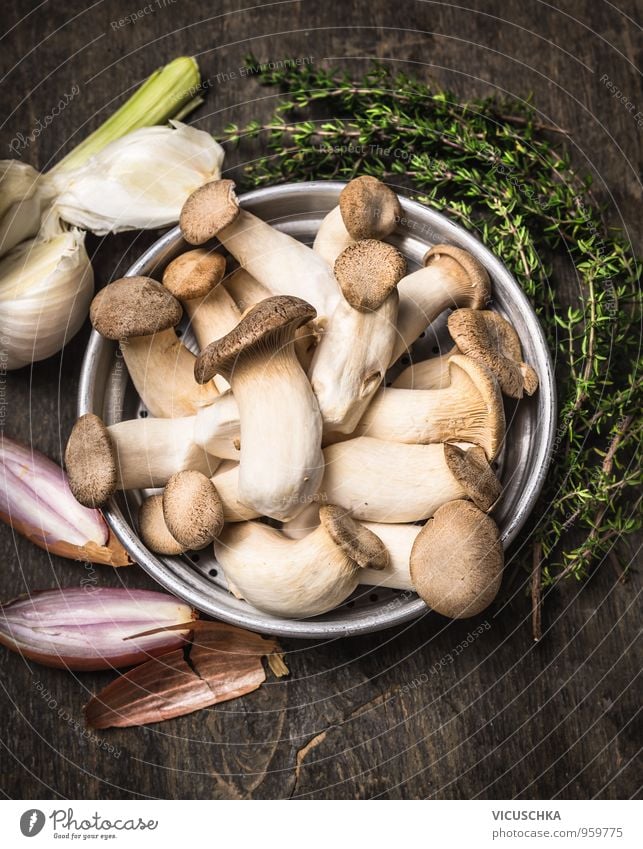 Kräuterseitling Pilze mit Kräutern und Gewürzen Lebensmittel Gemüse Suppe Eintopf Kräuter & Gewürze Ernährung Mittagessen Bioprodukte Vegetarische Ernährung