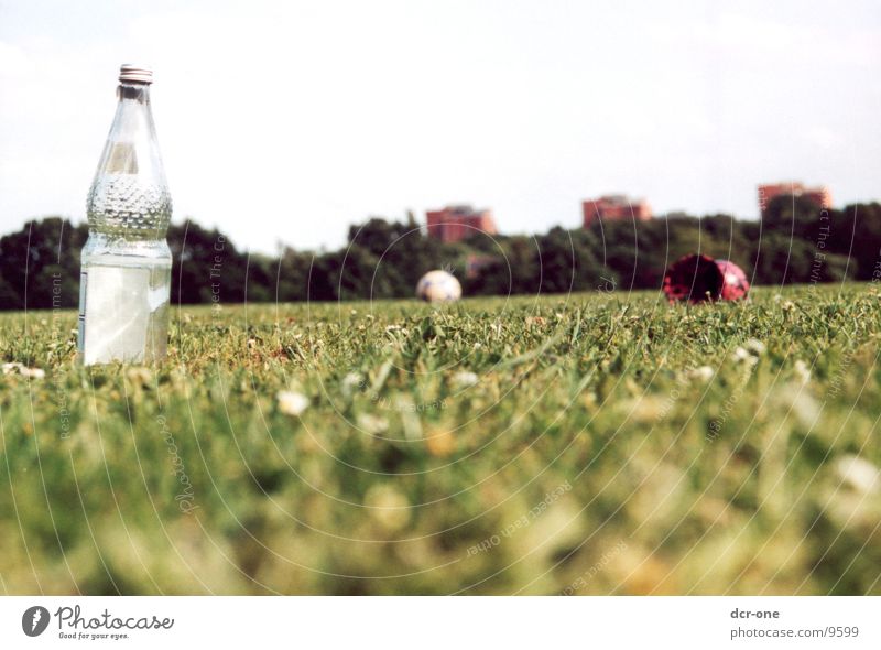 grüner rasen Hochhaus Wiese Wasserflasche Rasen Flasche Ball Teufel