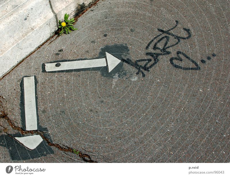 liebe und so. Asphalt Sommer heiß brennen kalt Muster Liebe Stadt Schatten verdunkeln Straßenbelag Paris Fußweg hell Schattendasein sonnenlos grell Schuhe