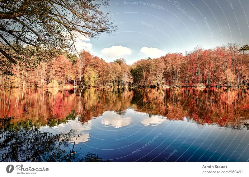 Herbstwald - See - Glatt Erholung ruhig Freizeit & Hobby Ferien & Urlaub & Reisen Natur Landschaft Wasser Himmel Schönes Wetter Wald Seeufer leuchten