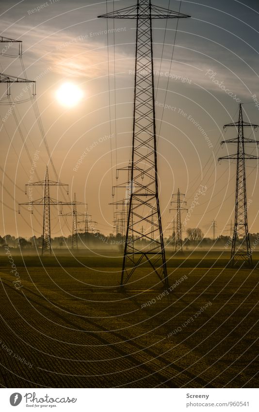 N R G Technik & Technologie Energiewirtschaft Elektrizität Strommast Hochspannungsleitung Umwelt Himmel Sonne Sonnenlicht Herbst Nebel Feld groß Stress