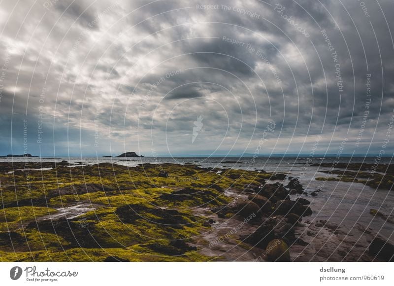 Schönes schlechtes Wetter Umwelt Natur Landschaft Urelemente Himmel Wolken Frühling Sommer Schönes Wetter Wind Küste Strand Nordsee Meer dunkel frisch