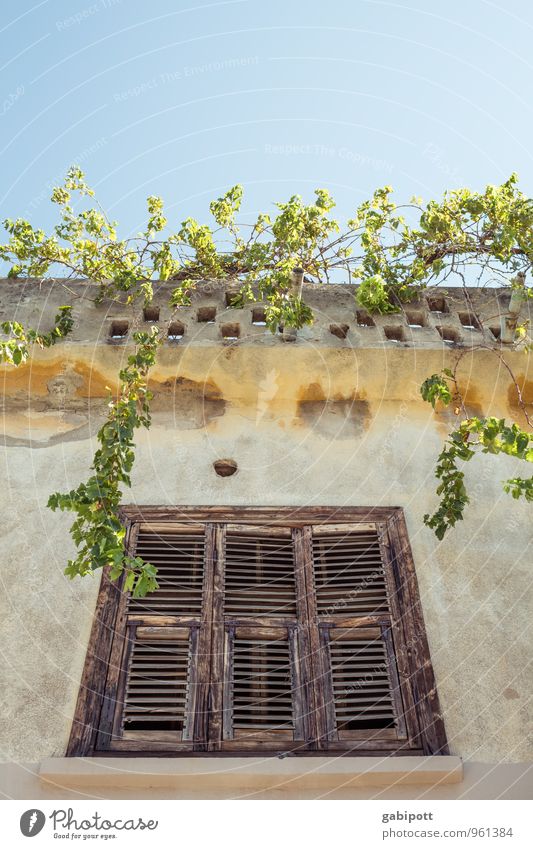 Dachgarten Wohlgefühl Zufriedenheit Erholung ruhig Meditation Ferien & Urlaub & Reisen Tourismus Ausflug Abenteuer Ferne Wolkenloser Himmel Dorf Haus Fassade