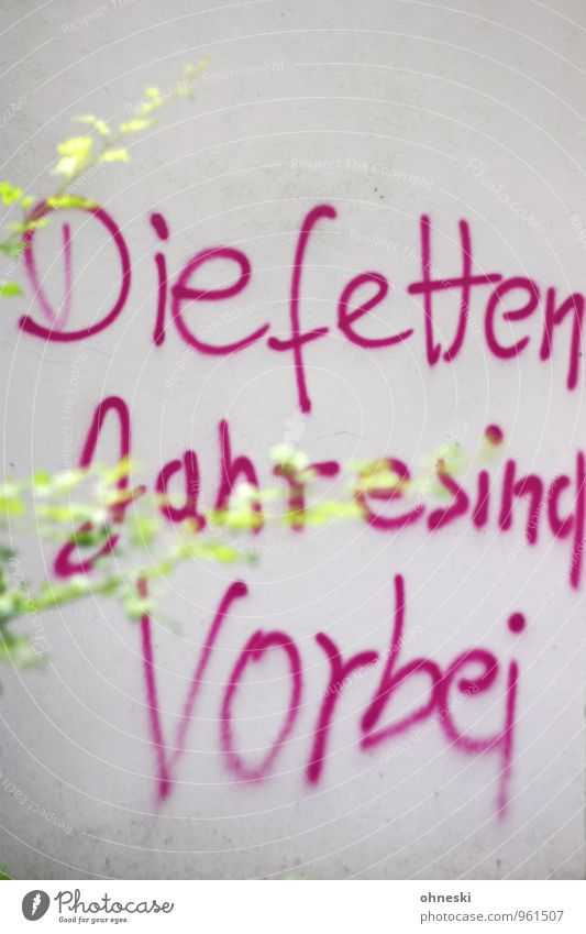 Statement Zweige u. Äste Mauer Wand Fassade Schriftzeichen Graffiti rosa Ärger Frustration trotzig Konjunktur Wirtschaftskrise Farbfoto mehrfarbig Außenaufnahme