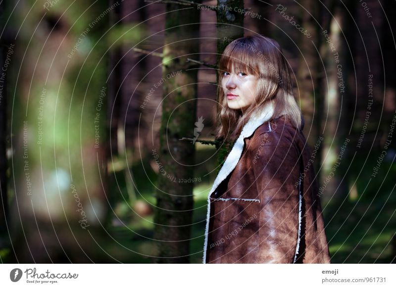 im Wald feminin Junge Frau Jugendliche 1 Mensch 18-30 Jahre Erwachsene Umwelt Natur Herbst dunkel natürlich Farbfoto Außenaufnahme Tag Licht Schatten