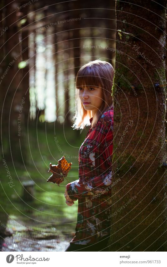 Herbst feminin Junge Frau Jugendliche 1 Mensch 18-30 Jahre Erwachsene Blatt Wald schön Farbfoto Außenaufnahme Tag Gegenlicht Low Key Schwache Tiefenschärfe