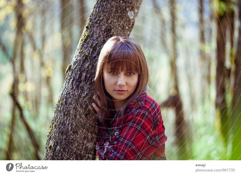 Lieblingsplatz feminin Junge Frau Jugendliche 1 Mensch Umwelt Natur Landschaft Herbst Schönes Wetter Baum Wald schön natürlich Baumstamm Farbfoto Außenaufnahme