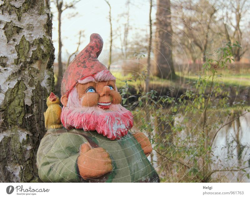 lustiger Geselle... Umwelt Natur Landschaft Pflanze Wasser Schönes Wetter Baum Baumstamm Birke Teich Gartenzwerge Blick stehen außergewöhnlich Fröhlichkeit