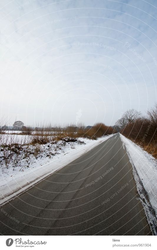 Knicklandschaft Winter Schnee Landwirtschaft Forstwirtschaft Umwelt Natur Landschaft Himmel Wolken Eis Frost Baum Sträucher Feld Verkehr Verkehrswege