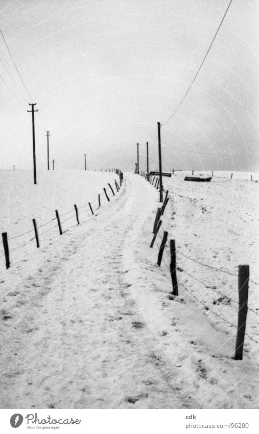 Winterlandschaft | Anfang und Ende. Schneelandschaft Hügel aufwärts Richtung Steigung Feld schlechtes Wetter grau Holz Zaun Einsamkeit ruhig Abschied kommen