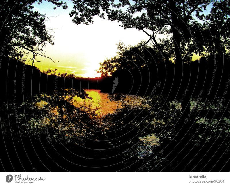 Abendstimmung Abenddämmerung Sonnenuntergang Seeufer Silhouette Gegenlicht Sonnenlicht Wasser Landschaft Stimmungsbild Kontrast schimmern