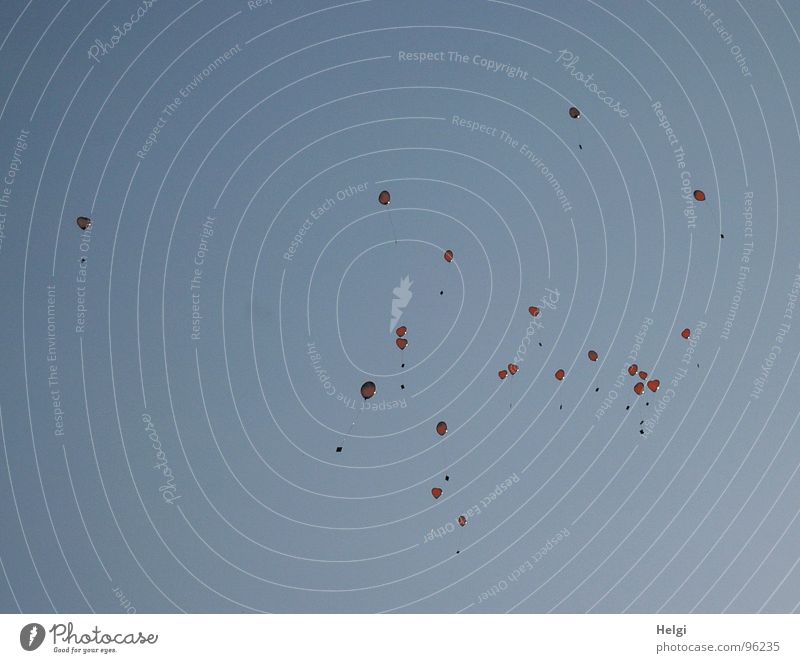 ...flieg ganz hoch ...ganz weit... Luftballon rot Leichtigkeit leicht Wolken Wunsch Glückwünsche Helium Gefühle Freude Luftverkehr Herz Freiheit Himmel Schnur