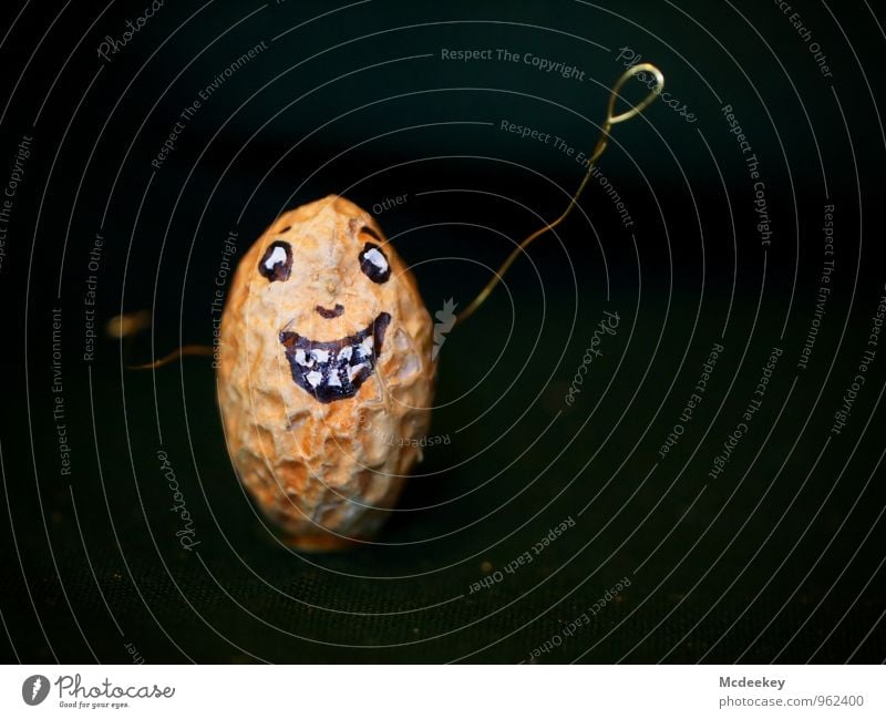 Frohe Adventszeit Lebensmittel Erdnuss androgyn Gesicht Auge Nase Mund Zähne Arme Hand 1 Mensch Draht Reißzwecken Stoff Metall Feste & Feiern Lächeln lachen