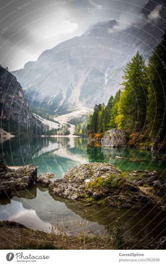 Wildsee Natur Urelemente Wasser Himmel Wolken Sonnenlicht Herbst Baum Sträucher Wildpflanze Wald Felsen Berge u. Gebirge Gipfel Seeufer authentisch Moos