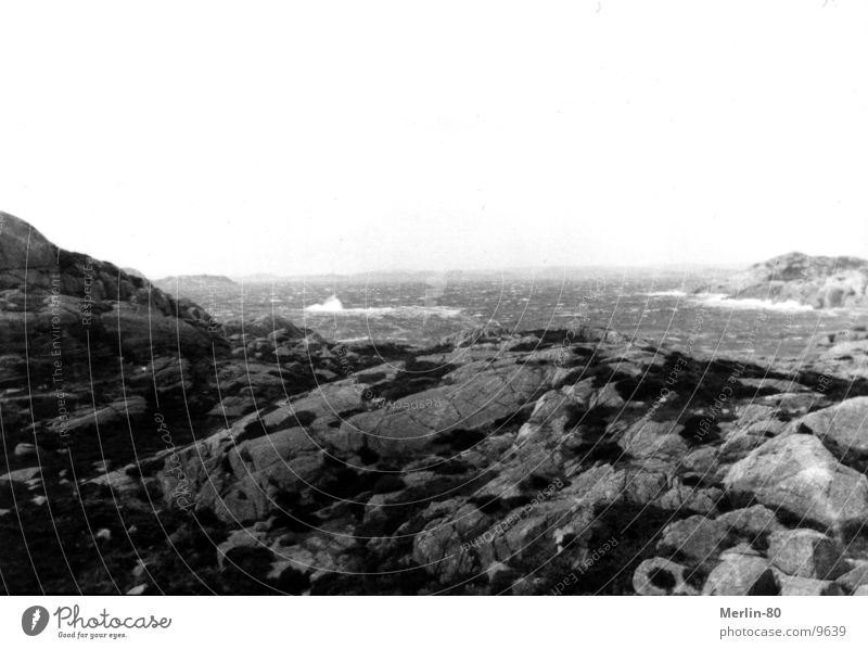 Schweden Brandung Natur schwartz/weiß Felsen Wasser