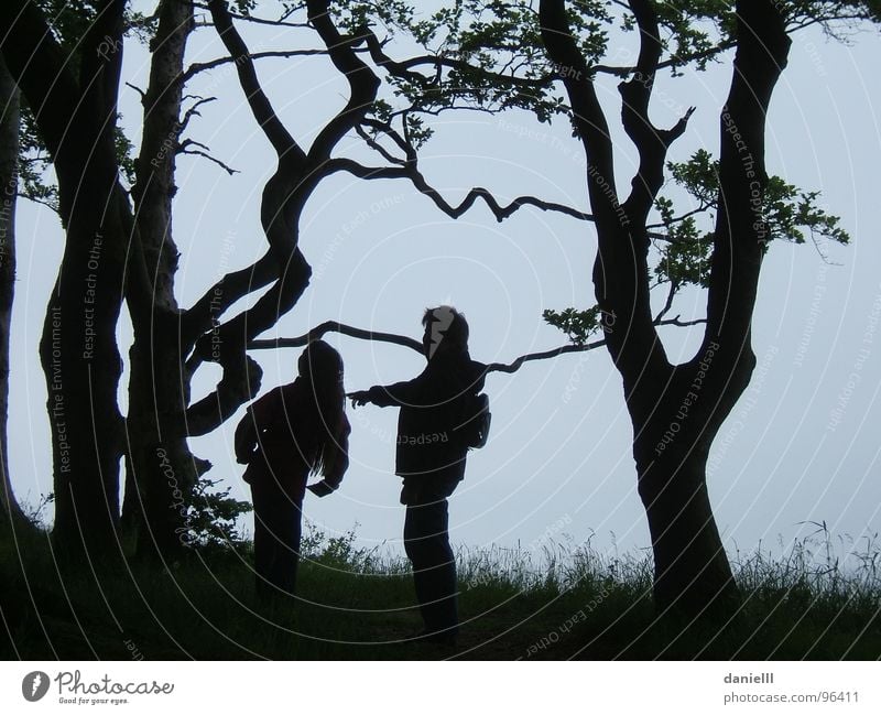 Märchenwald Wald Kind Familie & Verwandtschaft Abenteuer Freizeit & Hobby Baum wandern entdecken Dämmerung Nacht Schwarzweißfoto Vertrauen Scherrenschnitt