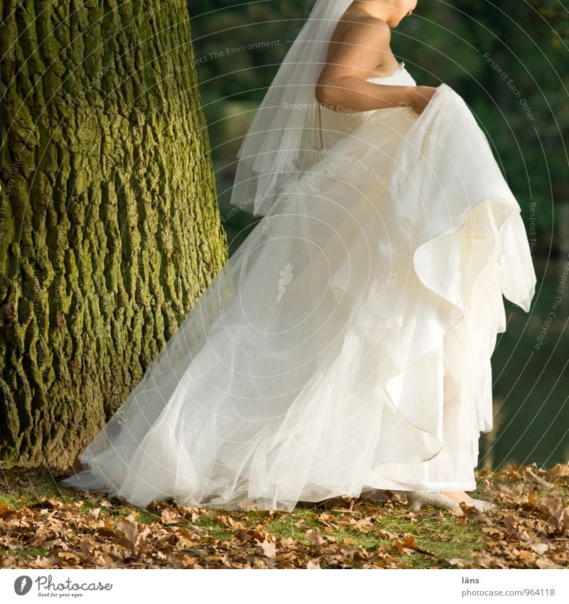 hieb- und stichfest | nix wie weg Hochzeit Mensch feminin Junge Frau Jugendliche Körper 1 Baum Kleid Brautkleid gehen Glück Vorfreude Liebe Verliebtheit