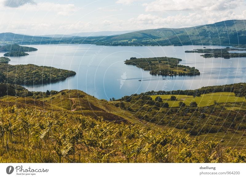 Down by the Loch Umwelt Natur Landschaft Wasser Himmel Wolken Klima Schönes Wetter Wiese Feld Hügel Küste Seeufer Loch Lomond Freundlichkeit Gesundheit Wärme