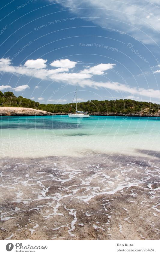 Zurück ins Paradies! Lust Luft beweglich genießen Meer Wolken Physik Ferien & Urlaub & Reisen türkis Wald Baum See Wasserfahrzeug Sportboot Strand tauchen Algen