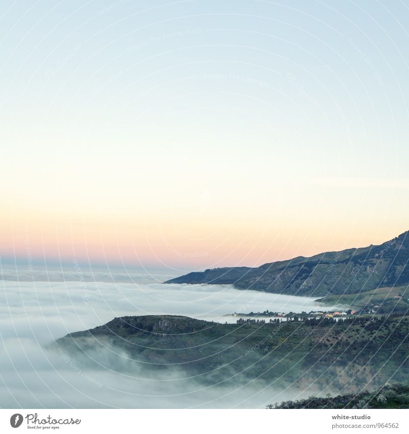 Wolkenwelle Umwelt Natur Landschaft Pflanze Himmel Horizont Sonnenaufgang Sonnenuntergang Sommer Klima Schönes Wetter Unwetter Nebel Wald Hügel Felsen