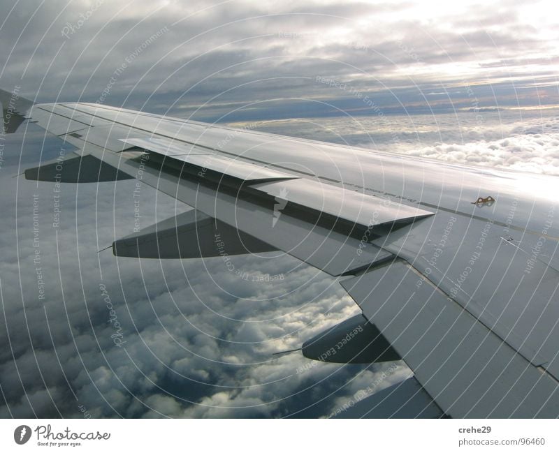 vergessen Ferien & Urlaub & Reisen Flugzeug Flugzeugträger weiß Luftverkehr träger.wolken Himmel entspannnen blau