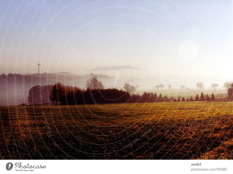 Lausitz im Morgennebel Ausflug Ferne Freiheit Berge u. Gebirge Weite Windkraftanlage Umwelt Natur Landschaft Pflanze Urelemente Erde Luft Wasser