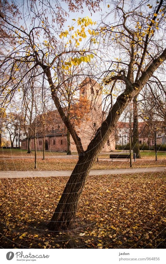 st. nikolai Landschaft Pflanze Herbst Schönes Wetter Baum Blatt Park Kirche Bauwerk Gebäude Architektur Sehenswürdigkeit Wahrzeichen Wege & Pfade Zeichen