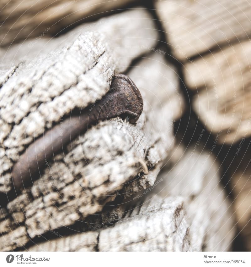 vernagelt Bauwerk Holzhaus Balken Terrasse Nagel Metall Rost alt beweglich Problemlösung Nostalgie Biegung krumm nageln Zusammenhalt Verbindung Ewigkeit