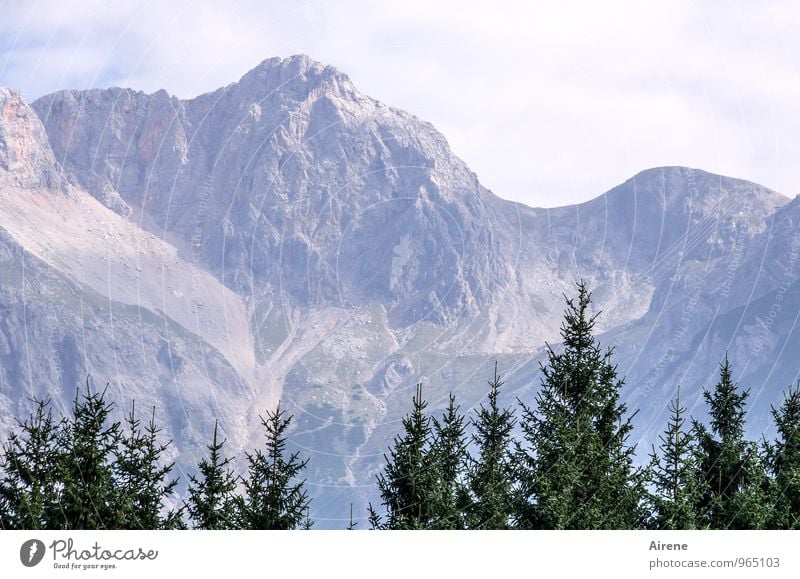 Baumgrenze Landschaft Himmel Pflanze Nadelbaum Tanne Fichte Wald Alpen Berge u. Gebirge Steinernes Meer hochkönig Gipfel Bergwald blau grün Abenteuer Ferne