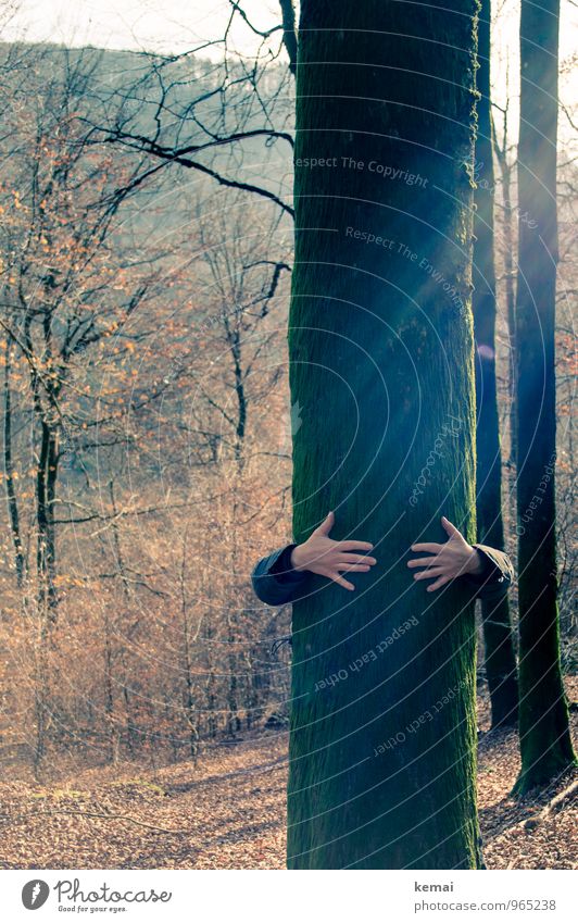 Südpfalz | Festhalten Freizeit & Hobby Ausflug Leben Arme Hand Finger 1 Mensch Umwelt Natur Sonne Sonnenlicht Herbst Schönes Wetter Baum Blatt Baumstamm Moos