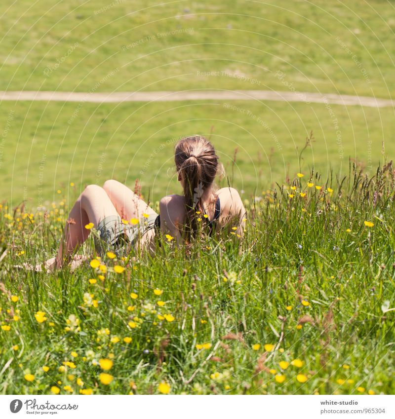 Tagträumen feminin Junge Frau Jugendliche 18-30 Jahre Erwachsene wandern Erholung Außenaufnahme Erholungsgebiet Wiese Wiesenblume Sonnenbad Pause ausruhend