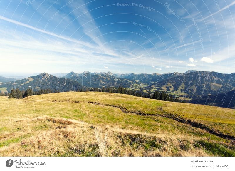 Auf in die Berge! Umwelt Natur Landschaft Pflanze Himmel Wolkenloser Himmel Frühling Sommer Wetter Schönes Wetter Wiese Wald Alpen Berge u. Gebirge wandern