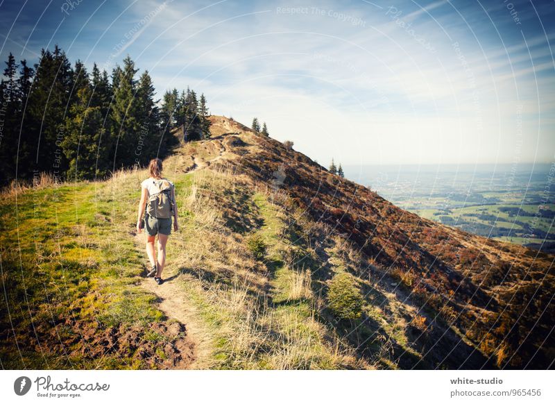 Wanderslust Mensch Junge Frau Jugendliche 18-30 Jahre Erwachsene wandern Außenaufnahme Abenteuer Abenteuerlust Ferien & Urlaub & Reisen Feiertag Rucksackurlaub